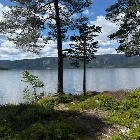 Orman Evi Longerak Bygland